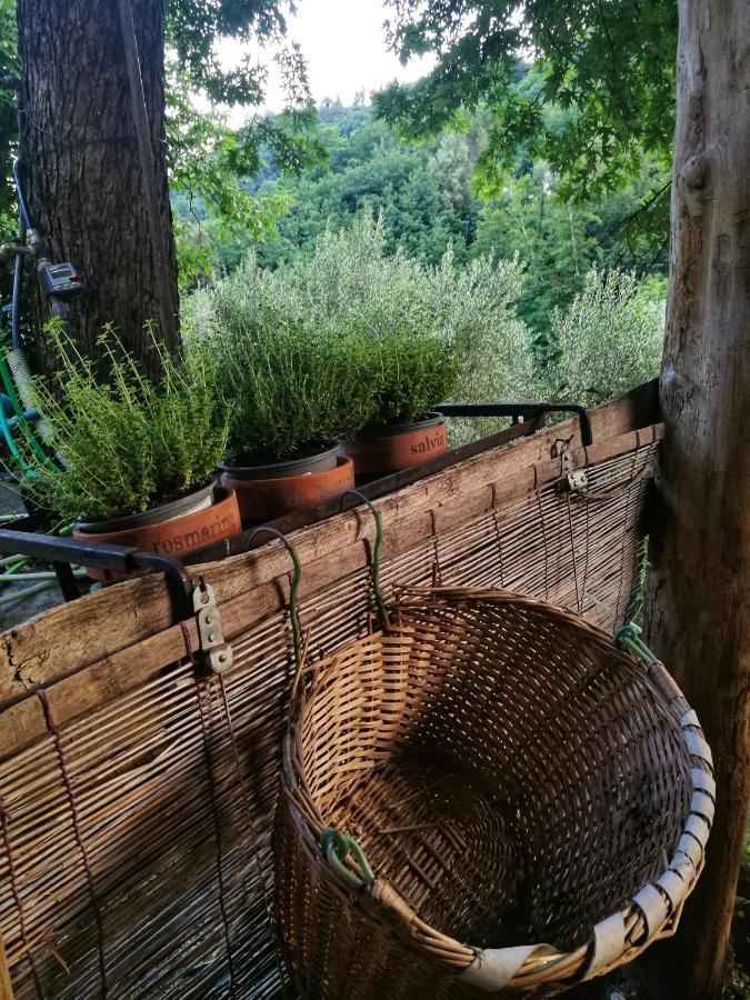 Agriturismo Tananei Marliana Zewnętrze zdjęcie