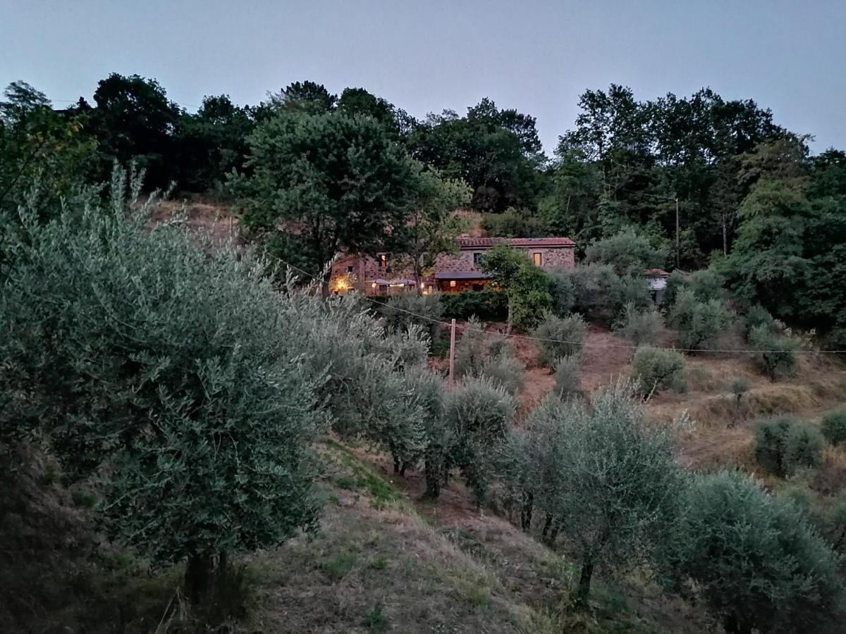 Agriturismo Tananei Marliana Zewnętrze zdjęcie