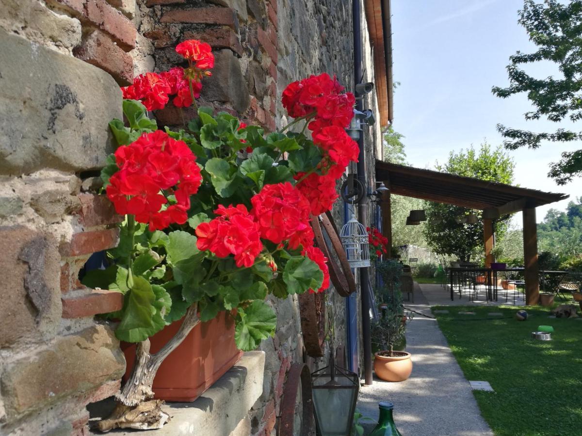 Agriturismo Tananei Marliana Zewnętrze zdjęcie