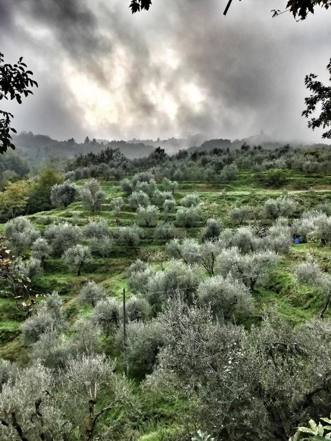 Agriturismo Tananei Marliana Zewnętrze zdjęcie